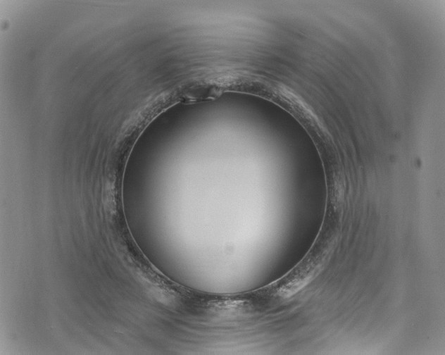 X0000076400497200610161208