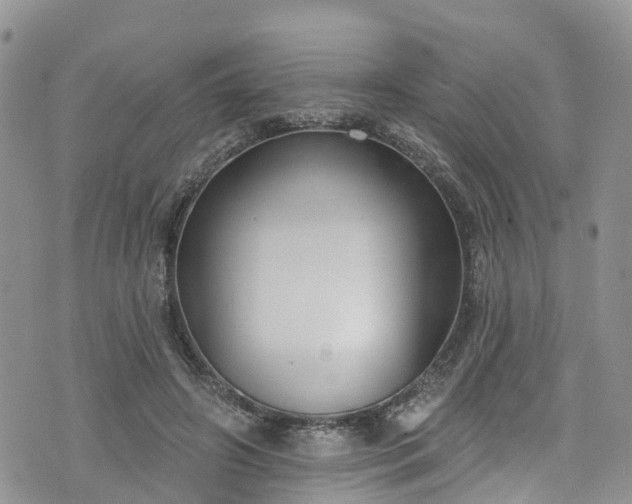 X0000076400498200610161208