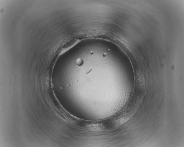 X0000076400499200610161208