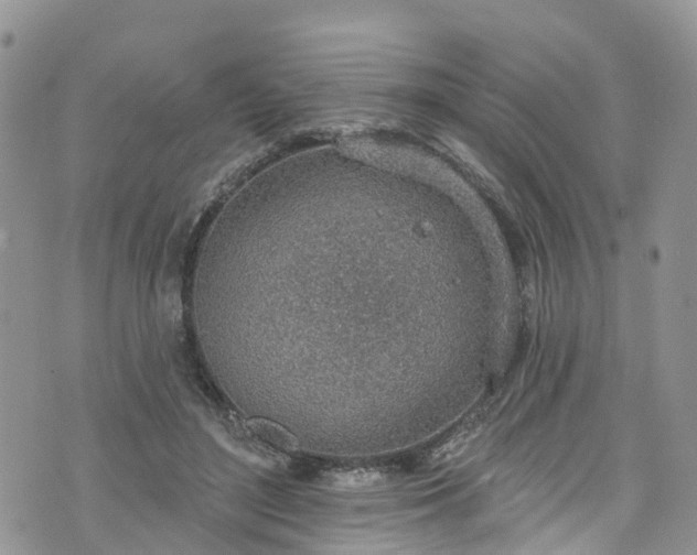 X0000076400500200610161208