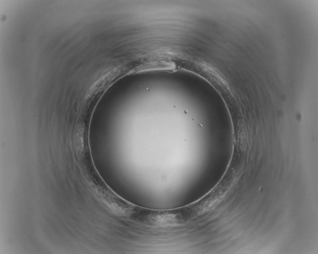 X0000076400501200610161208