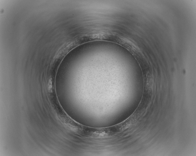 X0000076400502200610161208