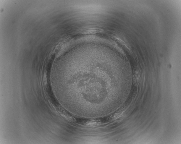 X0000076400504200610161208