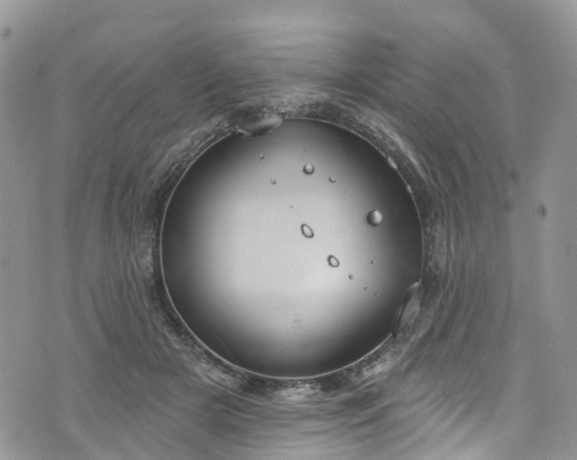 X0000076400505200610161208