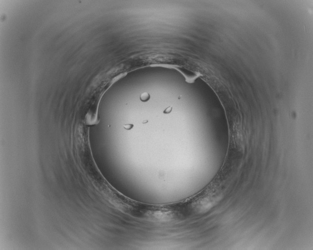 X0000076400506200610161208