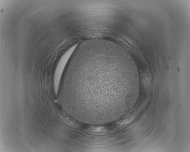 X0000076400507200610161208