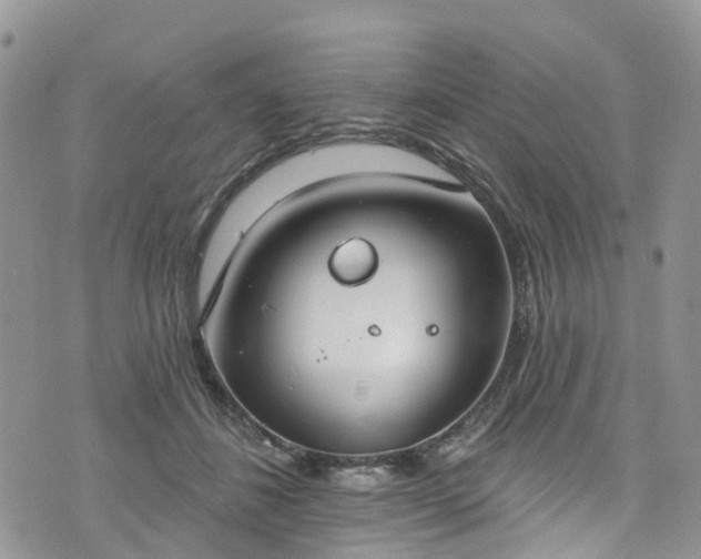 X0000076400508200610161208