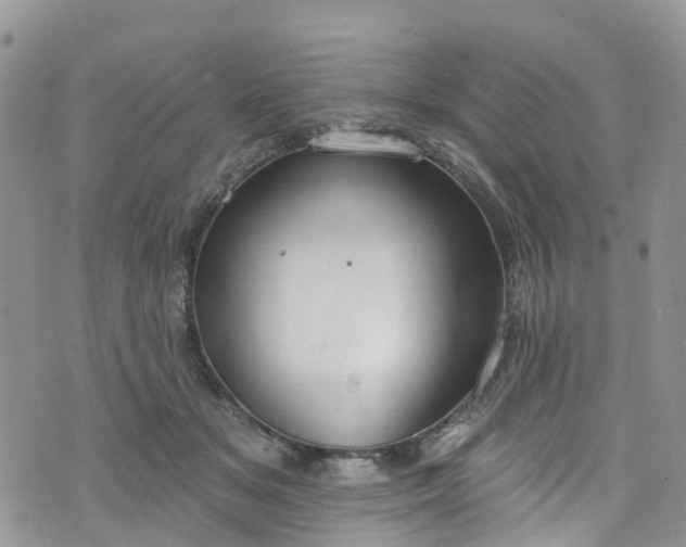 X0000076400509200610161208