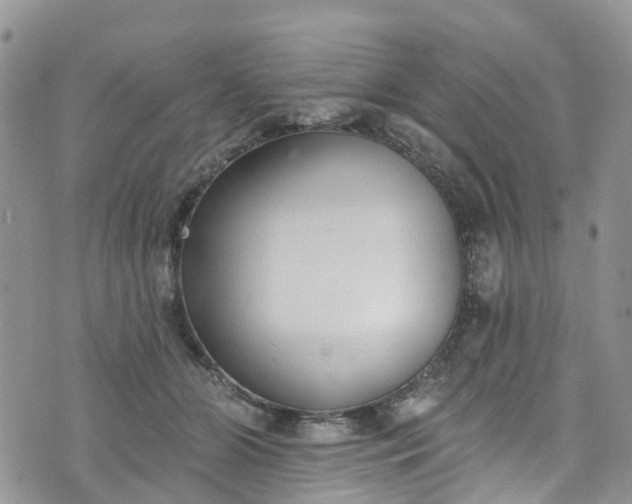 X0000076400510200610161208