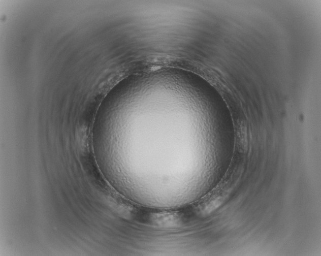 X0000076400511200610161208