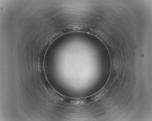 X0000076400512200610161208