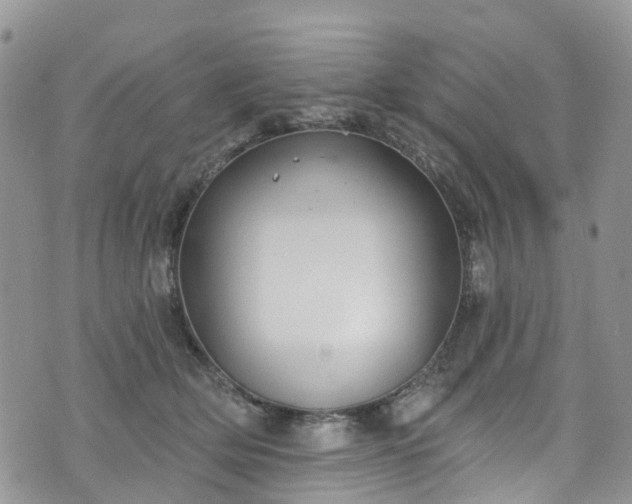 X0000076400514200610161208