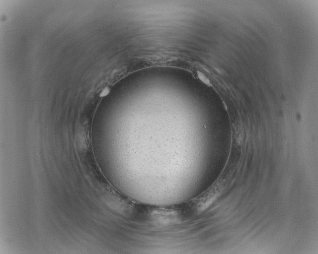 X0000076400515200610161208