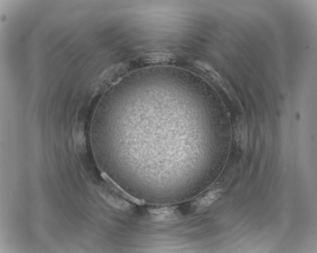 X0000076400516200610161208