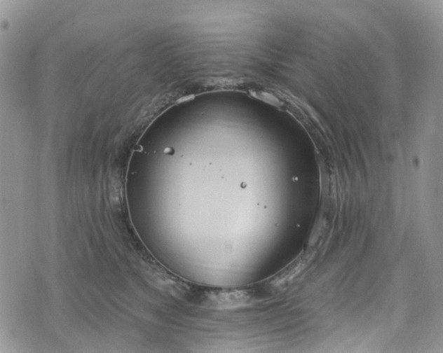 X0000076400517200610161208