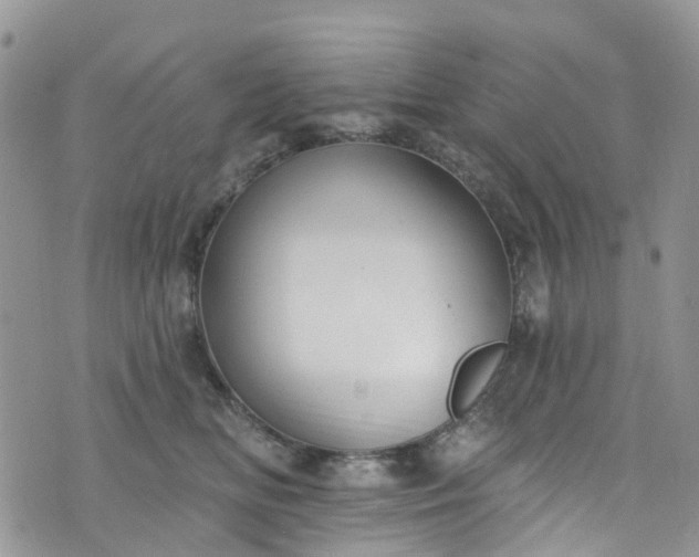 X0000076400518200610161208