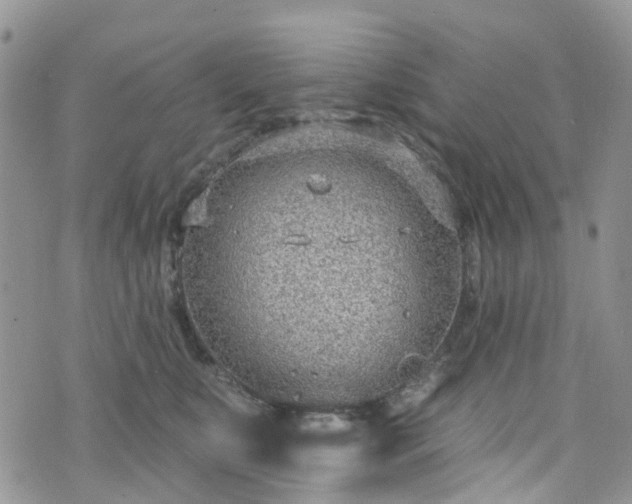 X0000076400519200610161208