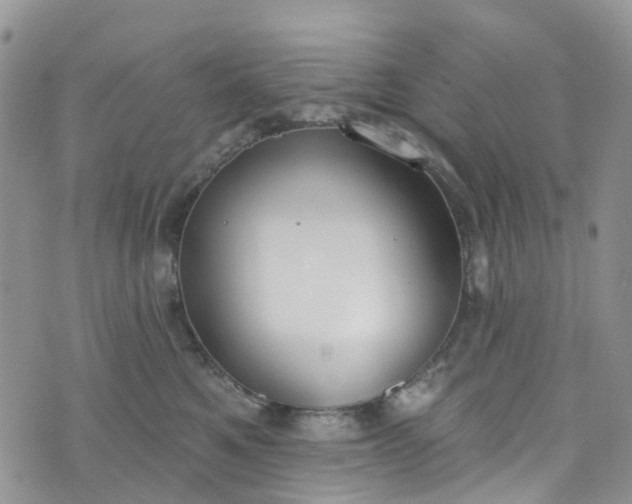 X0000076400521200610161208