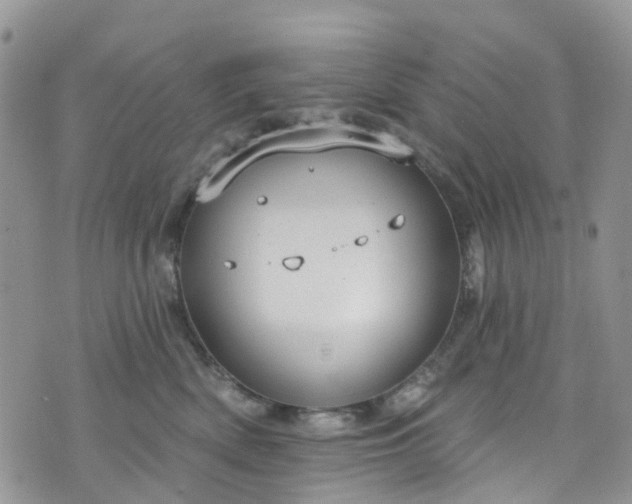 X0000076400522200610161208