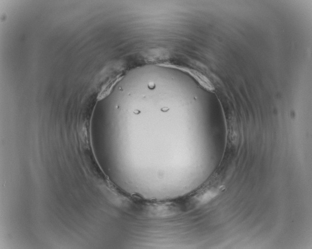 X0000076400523200610161208