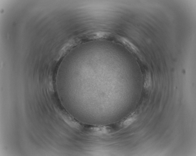 X0000076400524200610161208