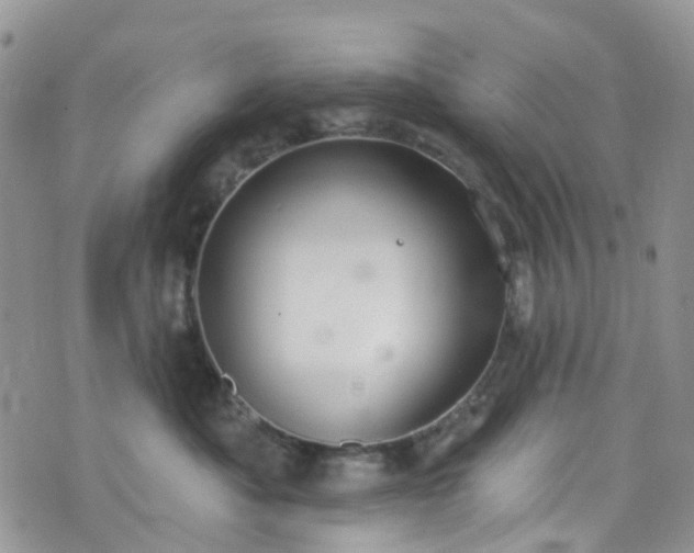 X0000076400525200610161208