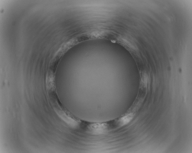 X0000076400526200610161208