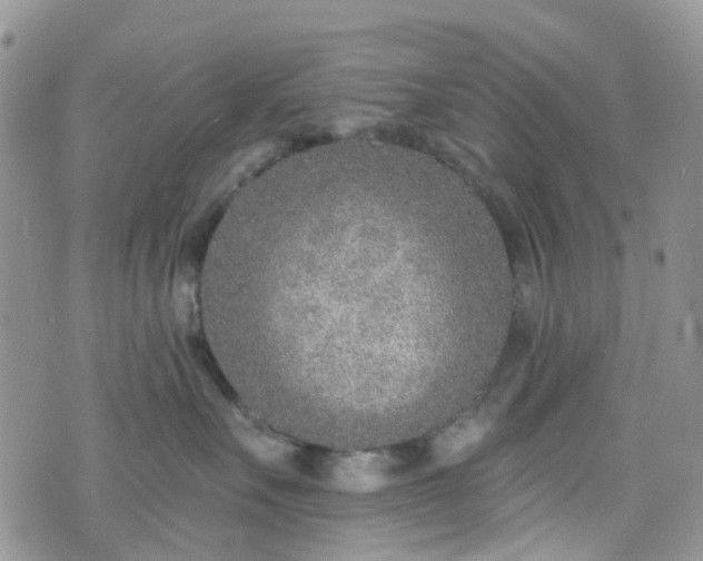 X0000076400527200610161208