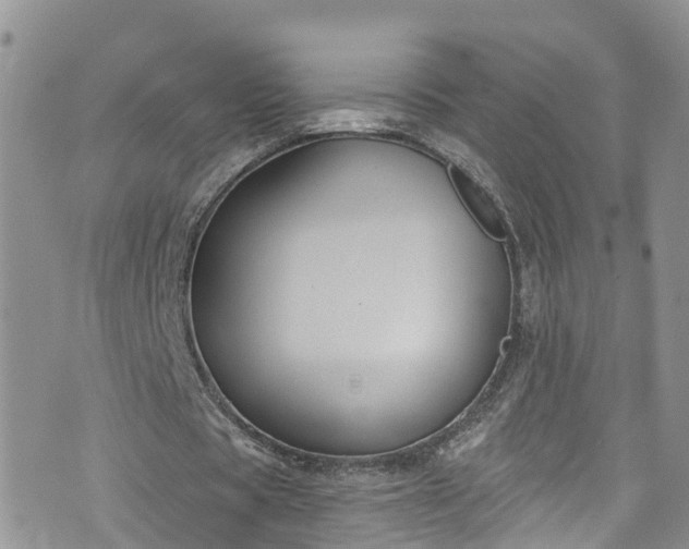 X0000076400529200610161207