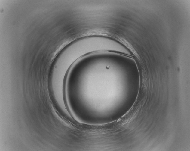 X0000076400530200610161207