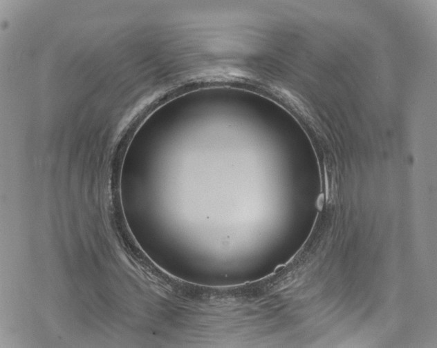 X0000076400531200610161207