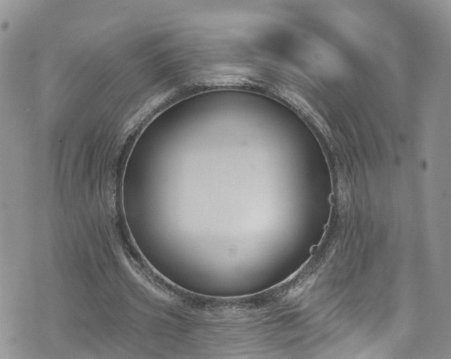 X0000076400533200610161207