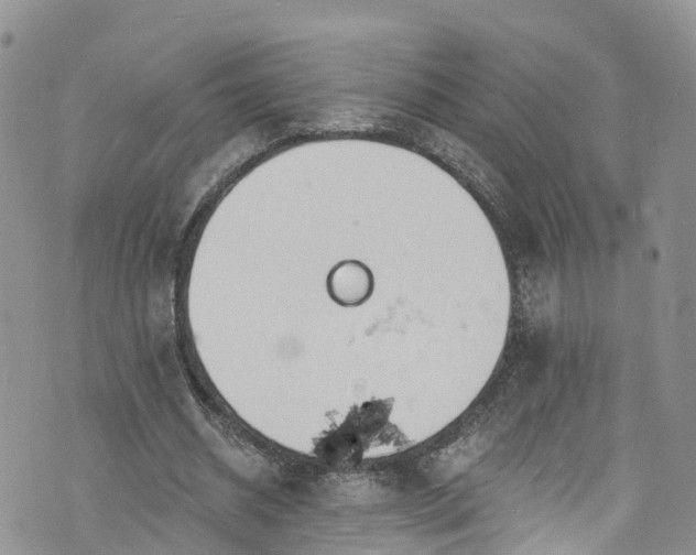 X0000076400534200610161207