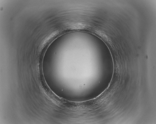 X0000076400535200610161207