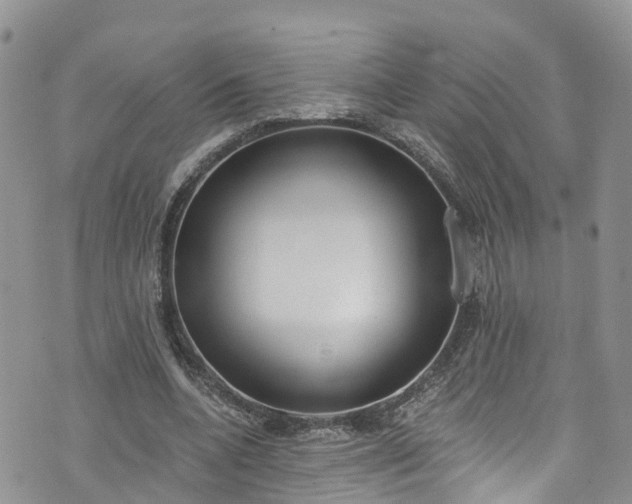 X0000076400536200610161207