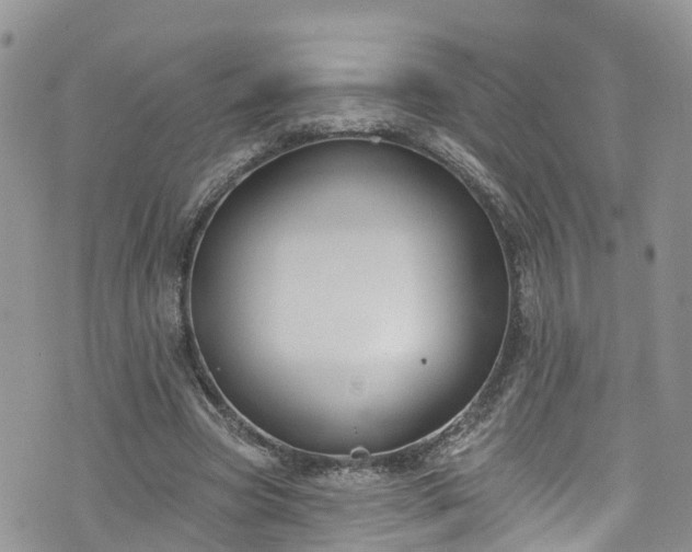 X0000076400537200610161207