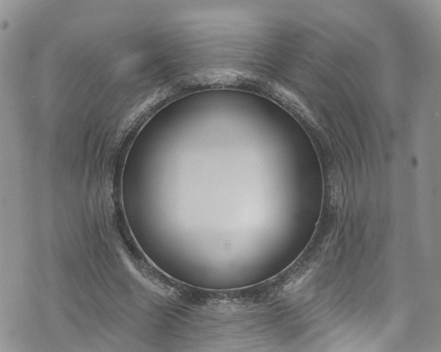 X0000076400538200610161207