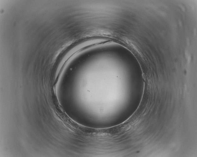 X0000076400539200610161207