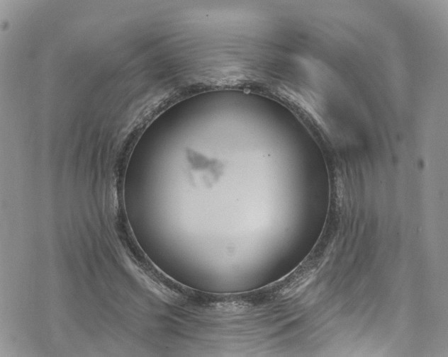 X0000076400541200610161207