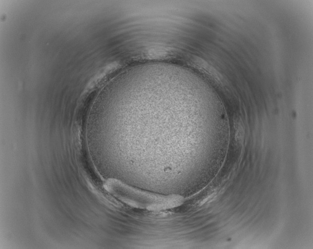 X0000076400542200610161207