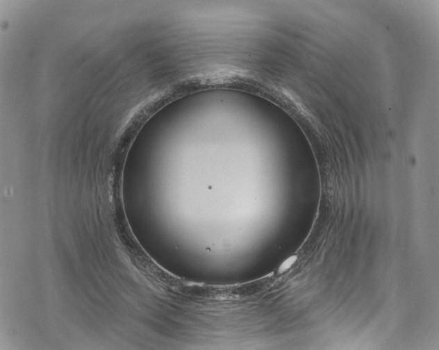 X0000076400543200610161207