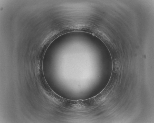 X0000076400544200610161207