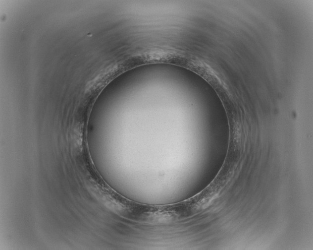 X0000076400545200610161207