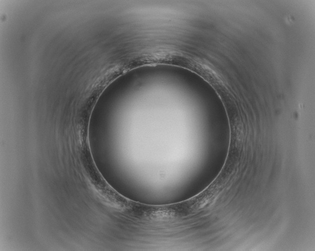 X0000076400546200610161207