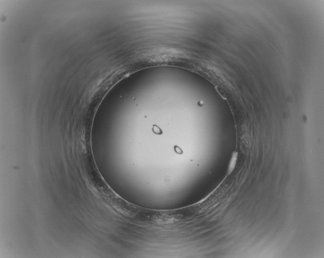 X0000076400547200610161208