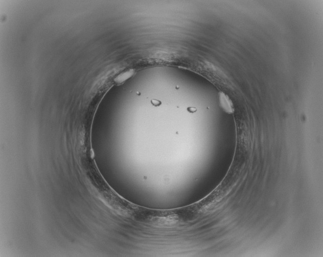 X0000076400548200610161208