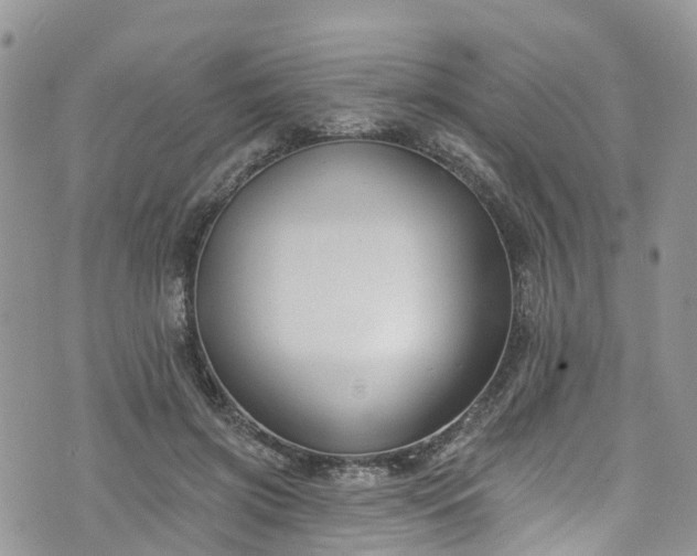 X0000076400549200610161208