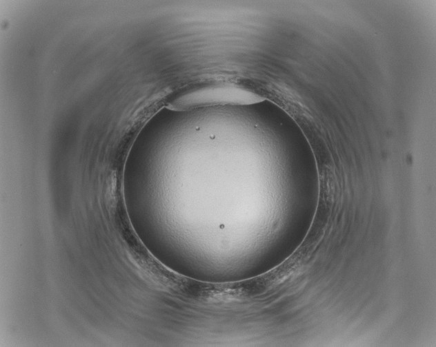 X0000076400550200610161208