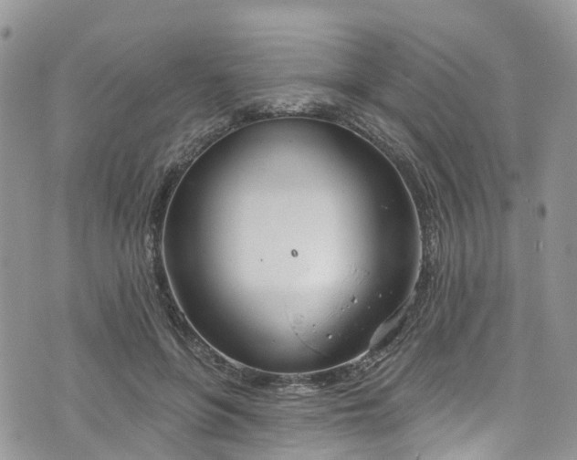 X0000076400551200610161208