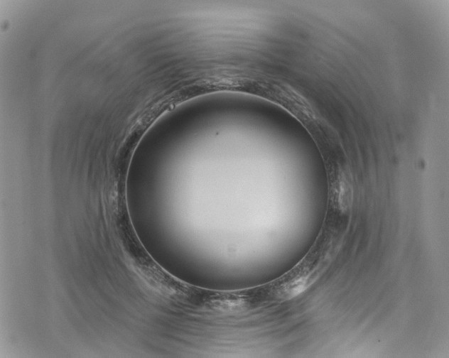 X0000076400552200610161208